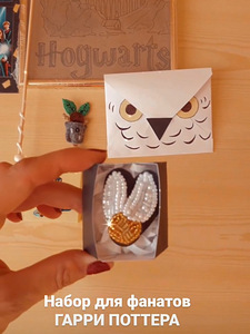 KOMPLEKT HARRY POTTERI FÄNNIDELE (1 foto / 4)