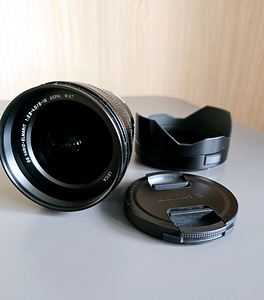 Panasonic Leica DG Vario-Elmarit 8-18mm f/2.8-4.0 (3 фото из 3)
