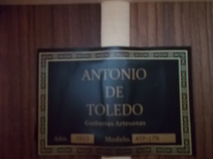Antonio de Toledo Flamenca (7 фото из 8)