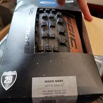Schwalbe magic mary 29x2.4