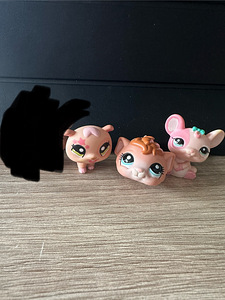 LPS (3 фото из 10)