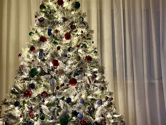 Jõulupuu