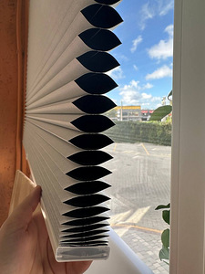 Rulood, mis blokeerivad valgust, valged, kärgstruktuuriga (5 foto / 6)