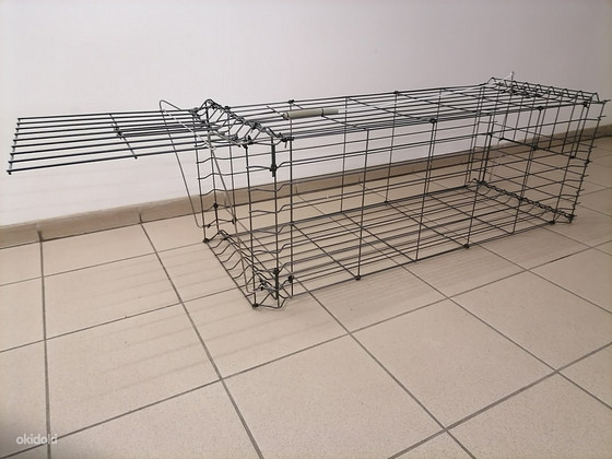 REBASE LÕKS (PÜÜNIS)