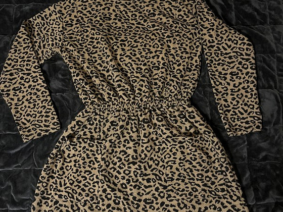 Zara kleit suurus 152-158