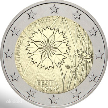 2 Euro rukkilill