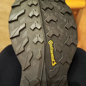 Adidas Terrex free hiker 2