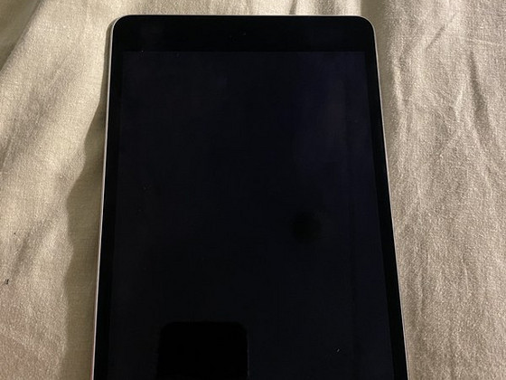 iPad mini 4