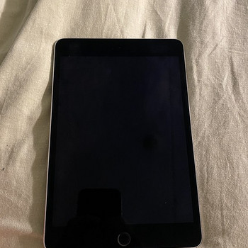 iPad mini 4