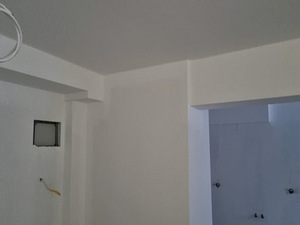 Kogemustega maaler (6 foto / 6)