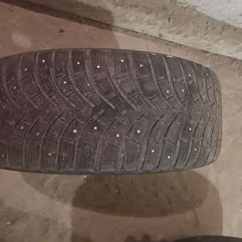 Raudveljed R 16