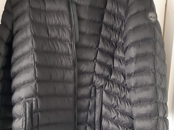 Timberland kurtka