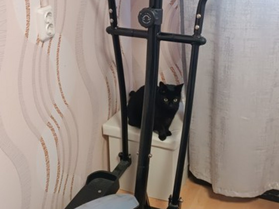 Эллиптический тренажёр N1 Cross Trainer 5.0