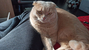 Подроботка (1 фото из 1)