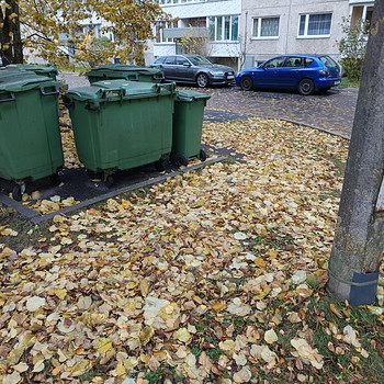 Требуется дворник