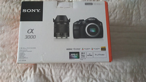 Sony A3000 + объектив 18-55 мм (1 фото из 1)