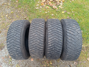 Naelrehvid (1 foto / 6)