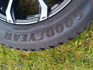 Naelrehvid (5 foto / 6)