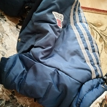 Müüa uus kostüüm väikesele koerale, suurus XL.