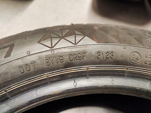 Uueväärsed lamellrehvid Continental, 195/55 R16 (4tk) (6 foto / 6)