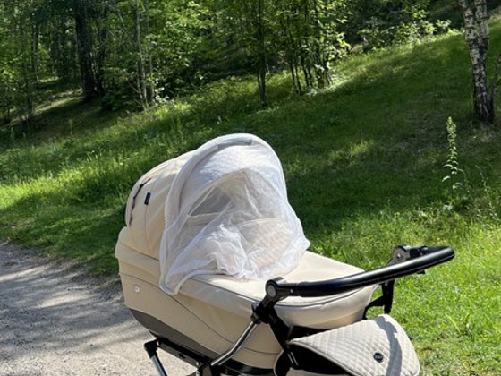 Коляска ROAN Classic