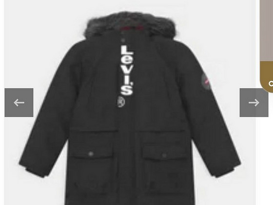 Levis talveparka 152 (12a)
