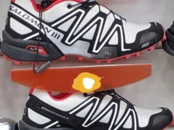 Salomon 3