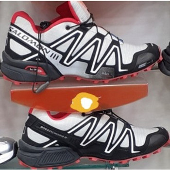 Salomon 3