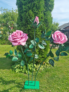Цветочная симфония (5 фото из 7)