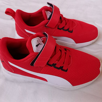 Puma tossud 29