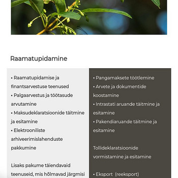 Бухгалтерия и таможенное оформление (посылки, экспорт, имп)