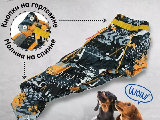 Taksikoera kombenisoon