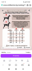 Taksikoera kombenisoon (5 foto / 5)