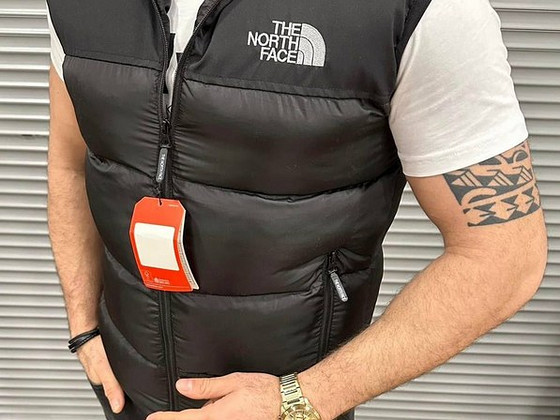 Жилеты The North Face