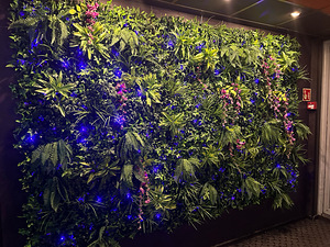 Vertical Garden-Fitowall/Фито стена-сад (1 фото из 2)