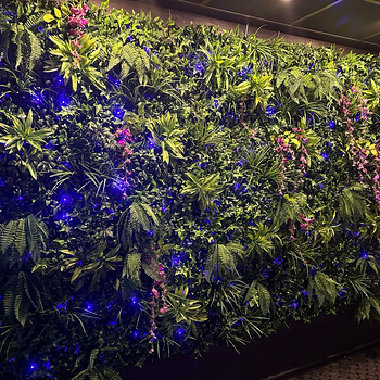 Vertical Garden-Fitowall/Фито стена-сад