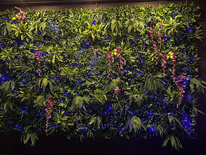Vertical Garden-Fitowall/Фито стена-сад (2 фото из 2)
