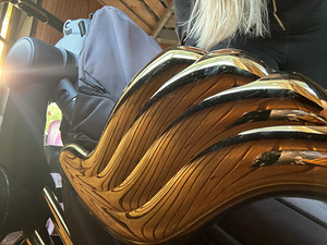 Комплект Cybex by Jeremy Scott (3 фото из 10)