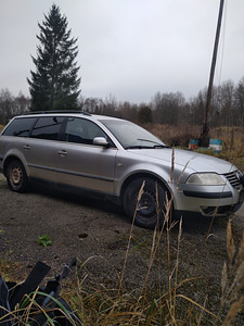 Passat (1 фото из 5)