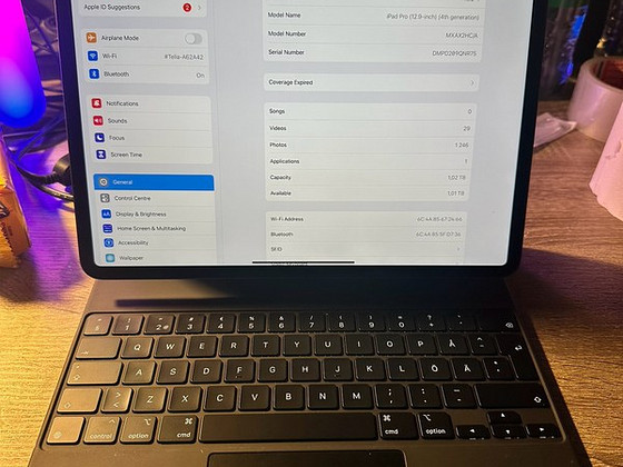 Apple iPad Pro 12.9-inch (4th Gen 2020) 1TB
