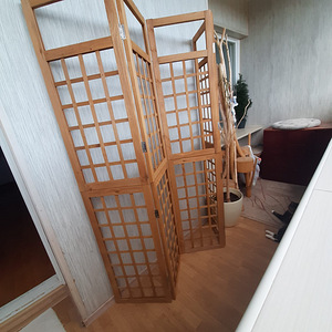 Dekoratiivne sirm (2 foto / 2)