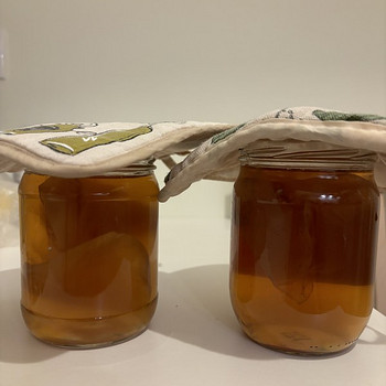 Kombucha