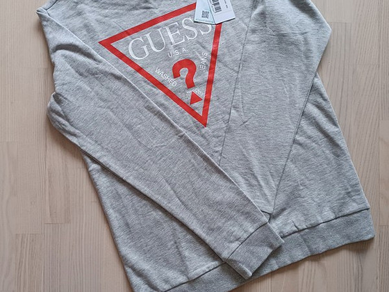 Uus guess laste pusa s.16 aastat