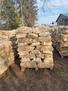 KUIV KÜTTEPUU VÕRGUS (1 foto / 2)