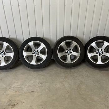 R19 erilaiused veljed