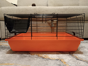 Клетка (3 фото из 5)