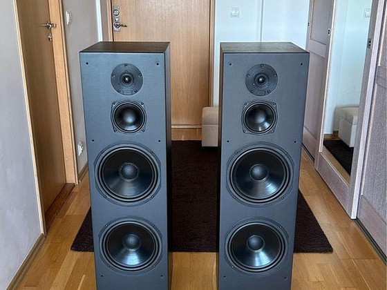 DALI 909 HiFi напольные колонки