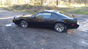 Pontiac Firebird (3 фото из 11)