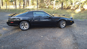 Pontiac Firebird (1 фото из 11)
