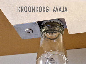 Ergonoomiline purgiavaja (4 foto / 6)